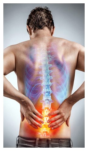 pic-290-joint-muscle